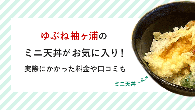 湯舞音 袖ヶ浦店】いざ！オープン初日に突撃してみた！利用者目線で徹底レビュー（千葉県袖ケ浦市） |