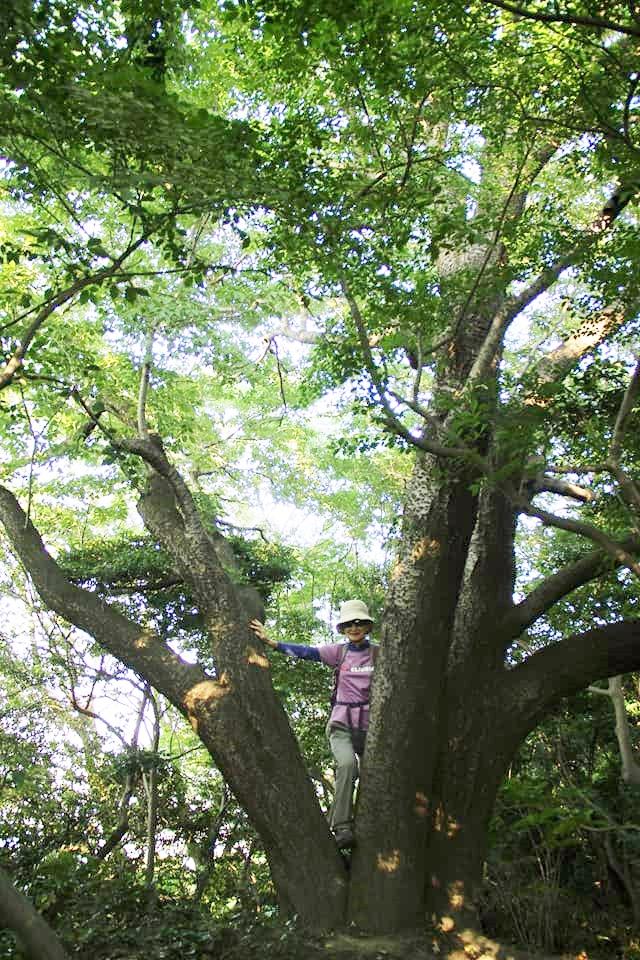 堂山（高松市）に登ってきた』高松(香川県)の旅行記・ブログ by ひらりんさん【フォートラベル】