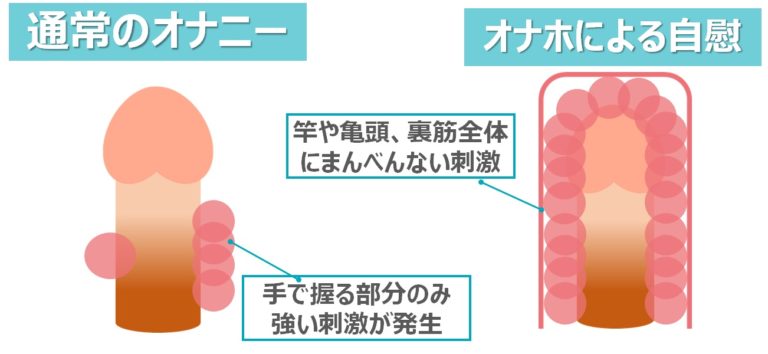 オナホキングダム 夏休みのじゆうけんきゅう:オナホールを作ろう!(後編) |