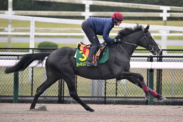 白井元調教師と学ぶ血統学【１６５】ついに連載もフィナーレ！競馬を愛する人に〝温故知新〟の喜びを（東スポ競馬） - Yahoo!ニュース