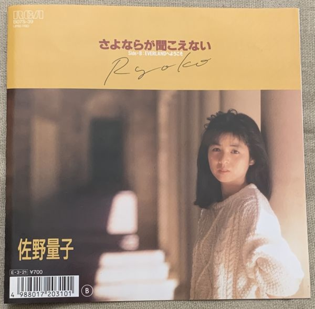 佐野量子と80年代アイドル - 1987年の思い出 |