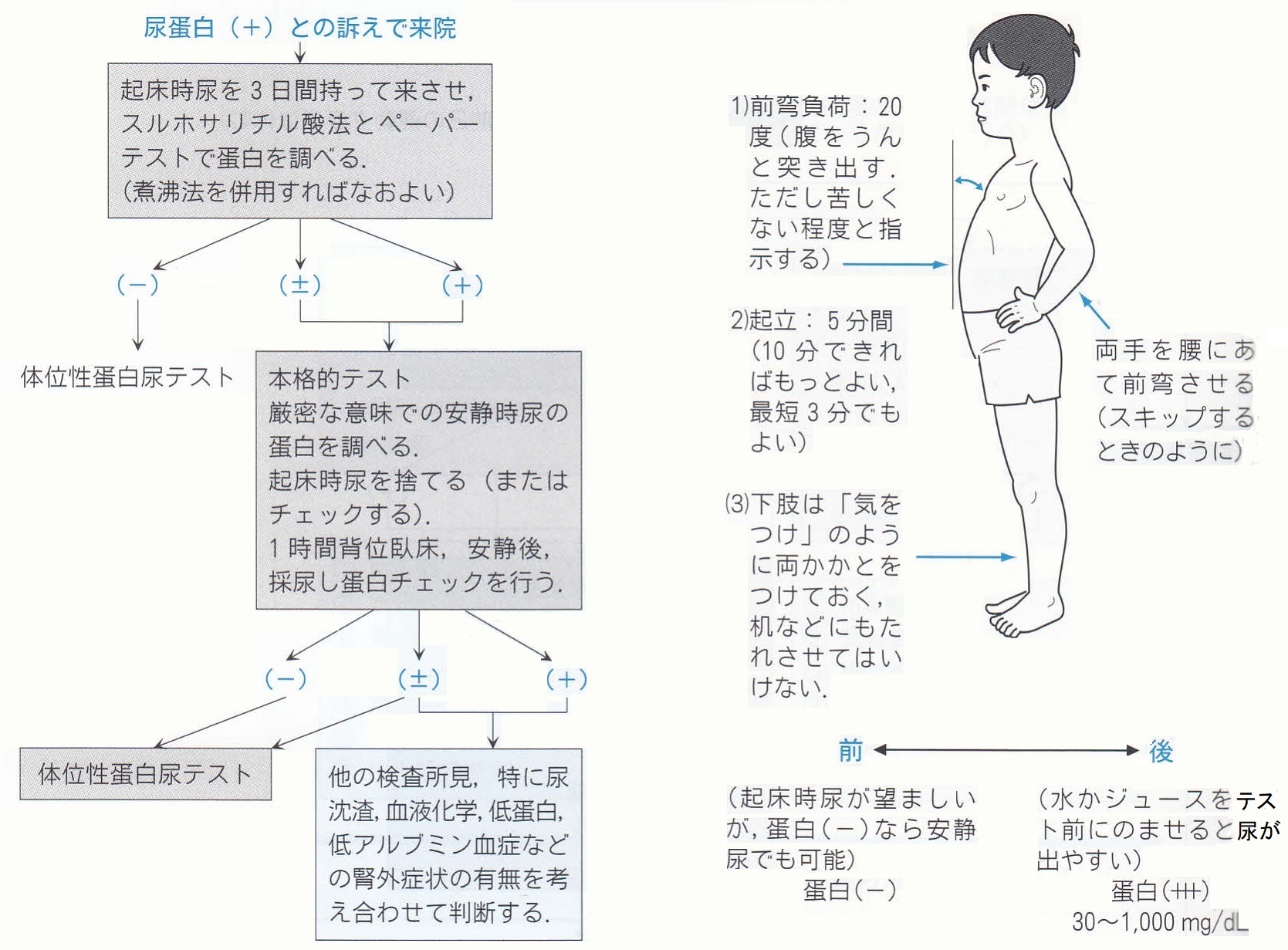 膀胱炎｜主な疾患と治療｜すずか泌尿器科・腎クリニック｜鈴鹿市柳町（すずか第一メディカルモール内）