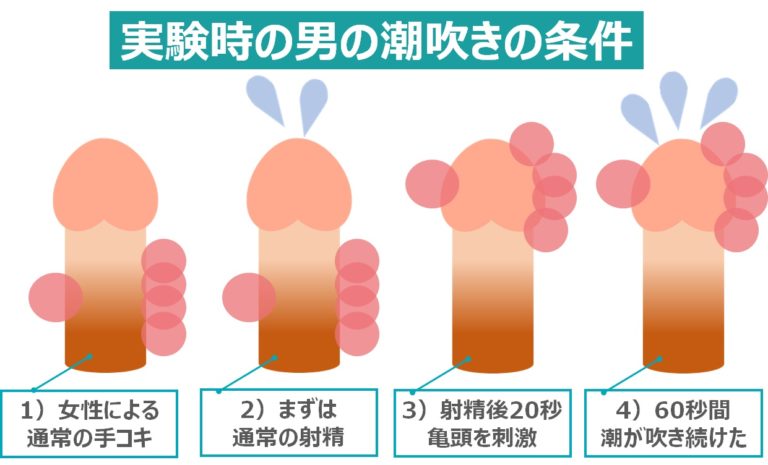 ASIN：B0D4QN7822 【驚異の5点責め！脳天直下の快感プレイ！】Florosy アナルバイブ