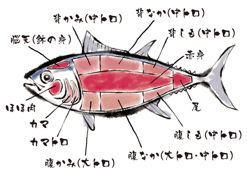 楽天市場】ギフトに最適送料無料 特選本まぐろ 中トロ 約350g×3冊まぐろのお刺身 お造り