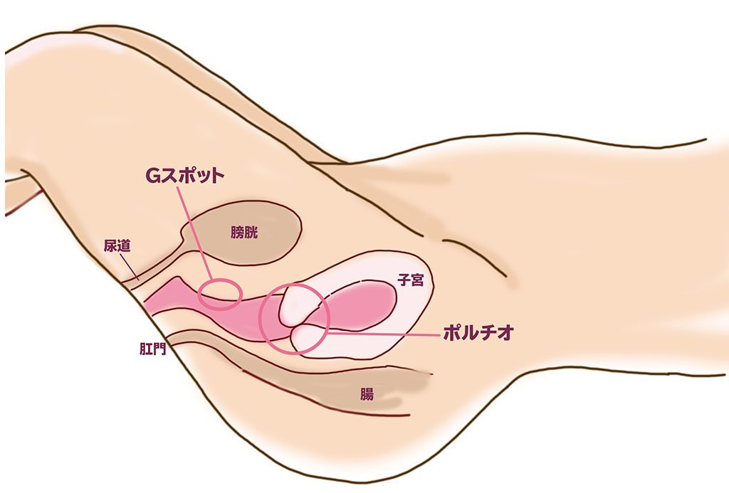 女性が気持ちいいと感じる上手な手マンのやり方やコツを徹底解説！｜駅ちか！風俗雑記帳