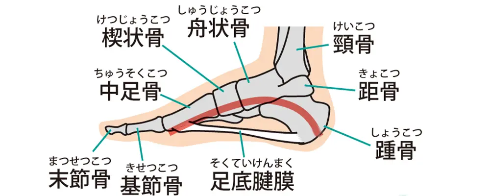 禁煙費用補助」のご案内 | 保健事業 | ジブラルタ健康保険組合