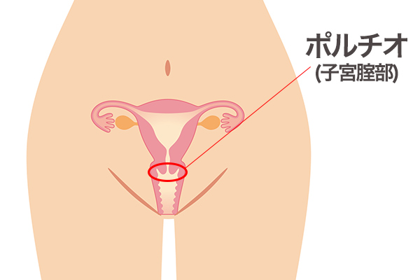 ポルチオとは？ 刺激で中イキするって本当？ 医師が教える正しい知識｜「マイナビウーマン」