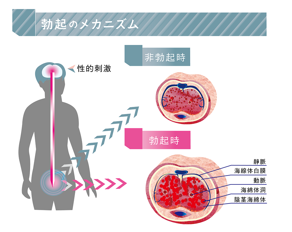 巨乳輪・勃起乳首・ムッチリ大きなお尻…超絶可愛い顔してメチャクチャえっちな身体ｗ「エロのヴィーナス」様がロシアの海に降臨されるｗｗ # 外人エロ画像