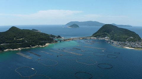 Kashiwa Island｜What to See