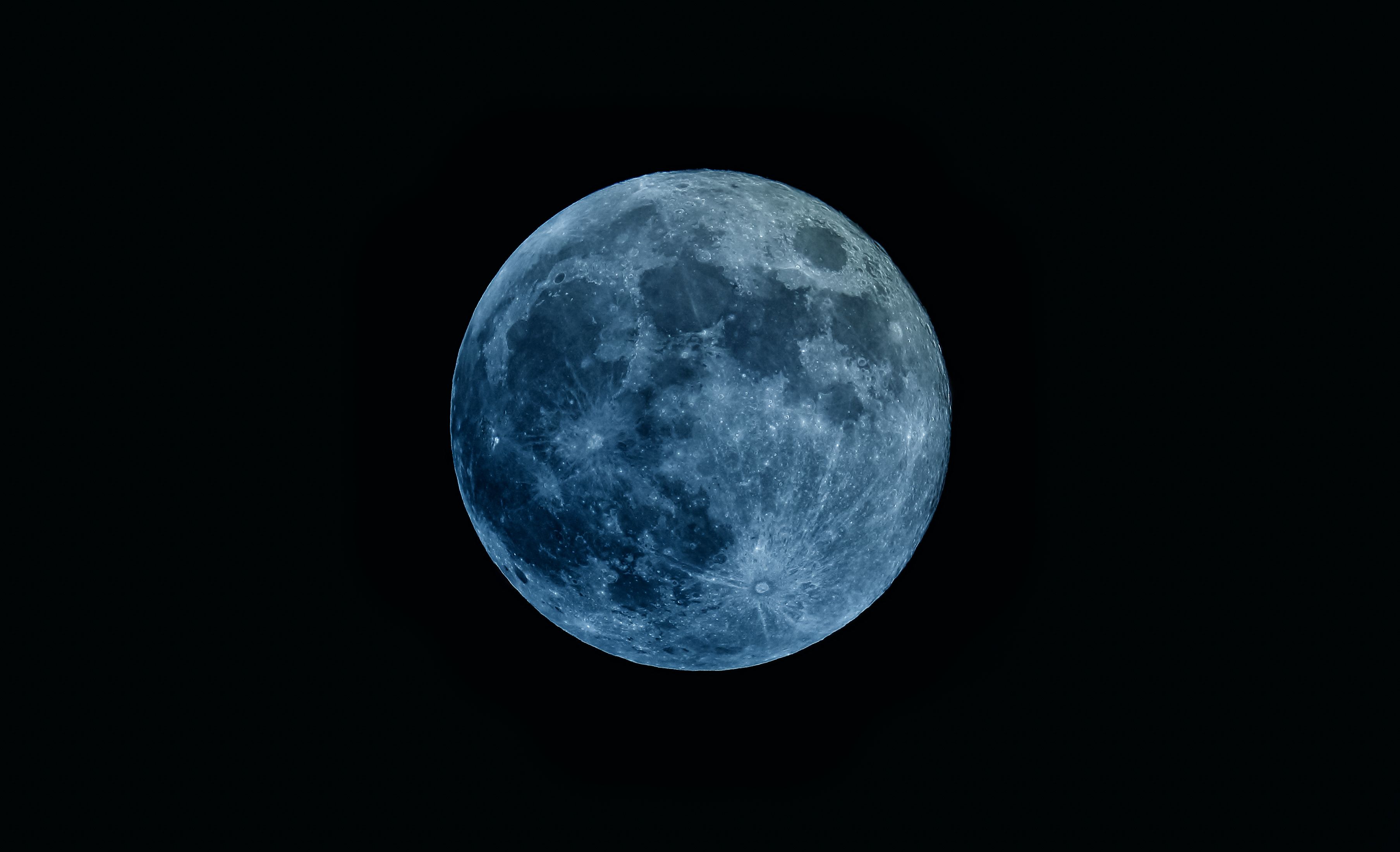 BLUE MOON 330ml×48本 ブルームーン