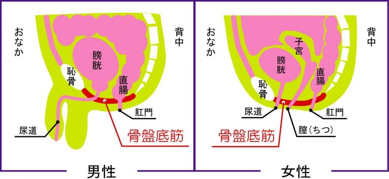 アナルセックスって気持ちいいの？ 経験者に聞いてみた | オトナのハウコレ