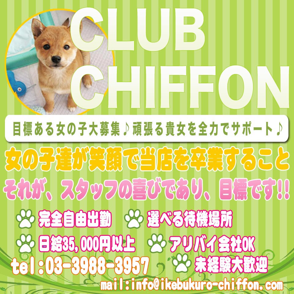 club chiffon公式 (@ChiffonClub)