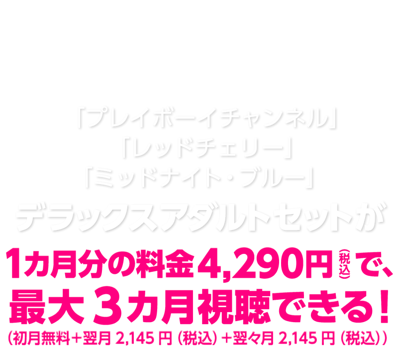 ぷにあなスケスケDX｜アダルトグッズ価格比較db