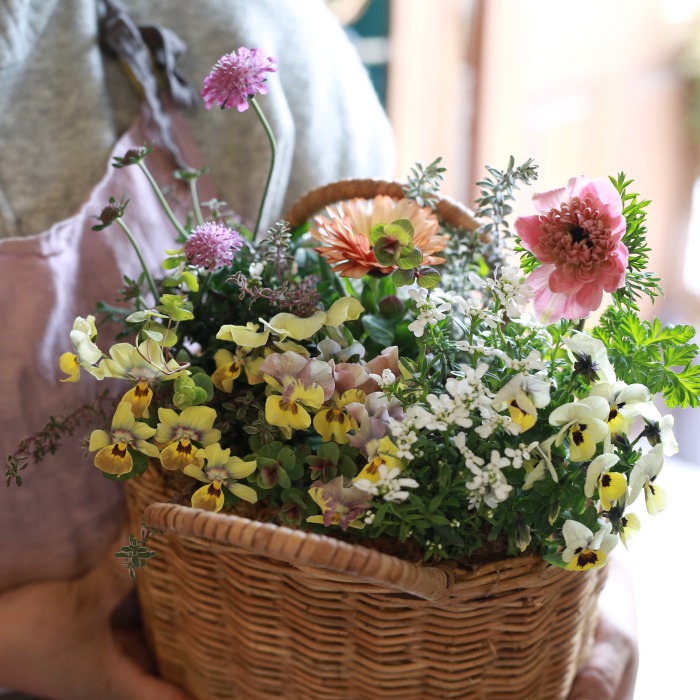 生花のアネモネ花束（福岡糸島産）20本！春のギフトにもおすすめです ブーケ tige_fleuriste