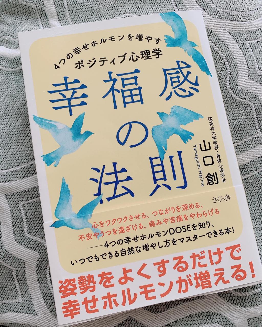 12月 2024のイベント | 中京いきいき市民活動センター