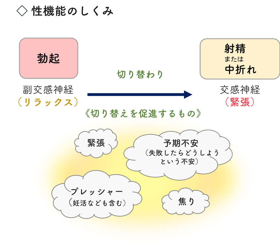 オナ禁により明晰夢を見て夢精する方法｜オナ禁の道