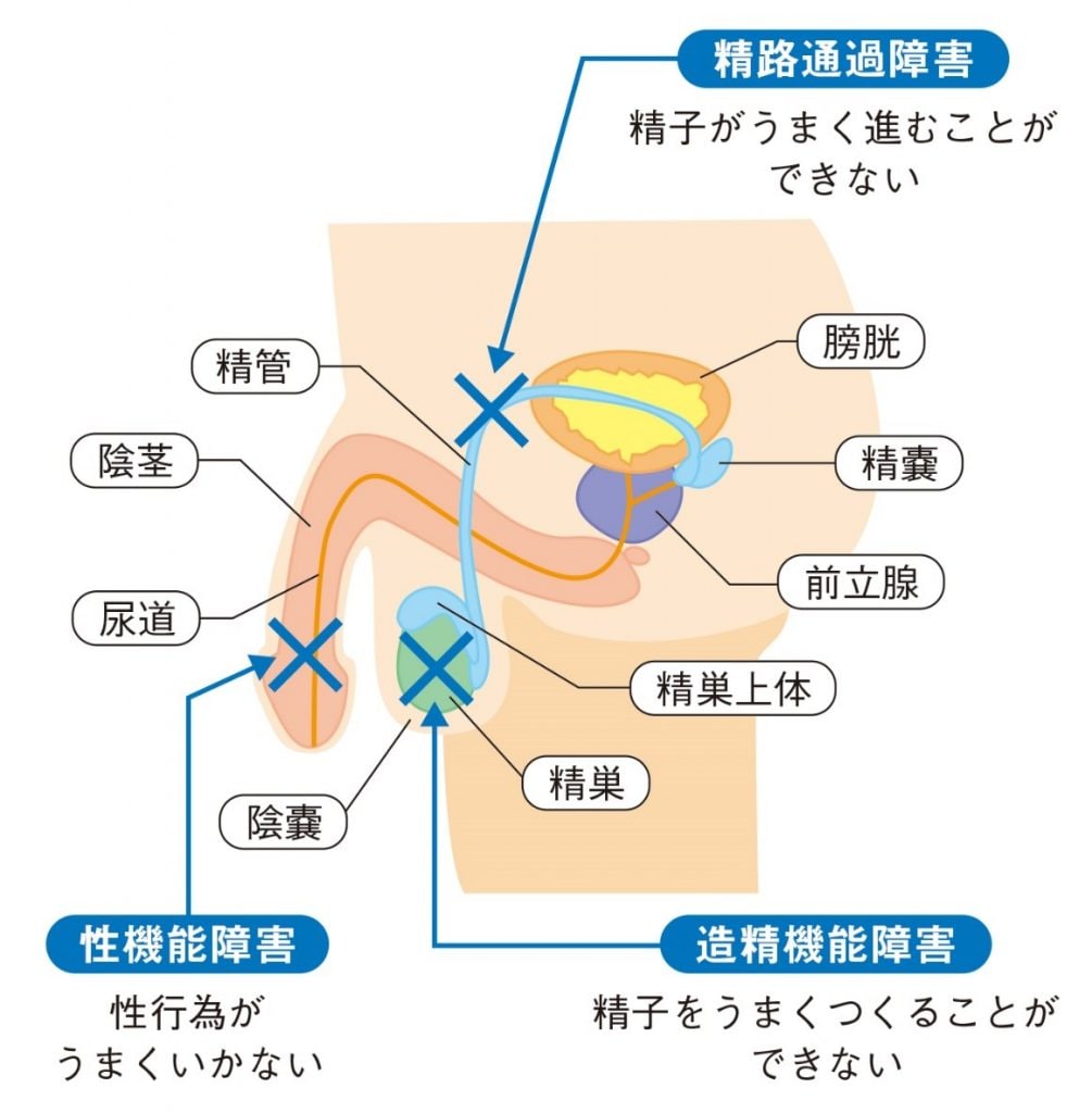 コロナの微熱症状と対処法｜初期サインから長期的な影響まで｜おうち病院