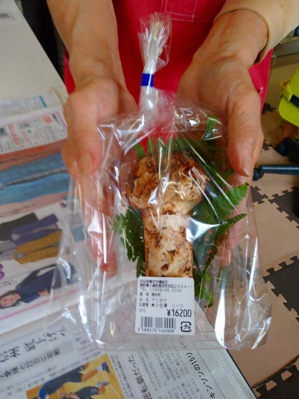 国産天然松茸】100ｇ前後(90~120g) 山形産 秋はきのこ、きのこはまつたけ：山形県産のマツタケ｜食べチョク｜産地直送(産直)お取り寄せ通販 - 