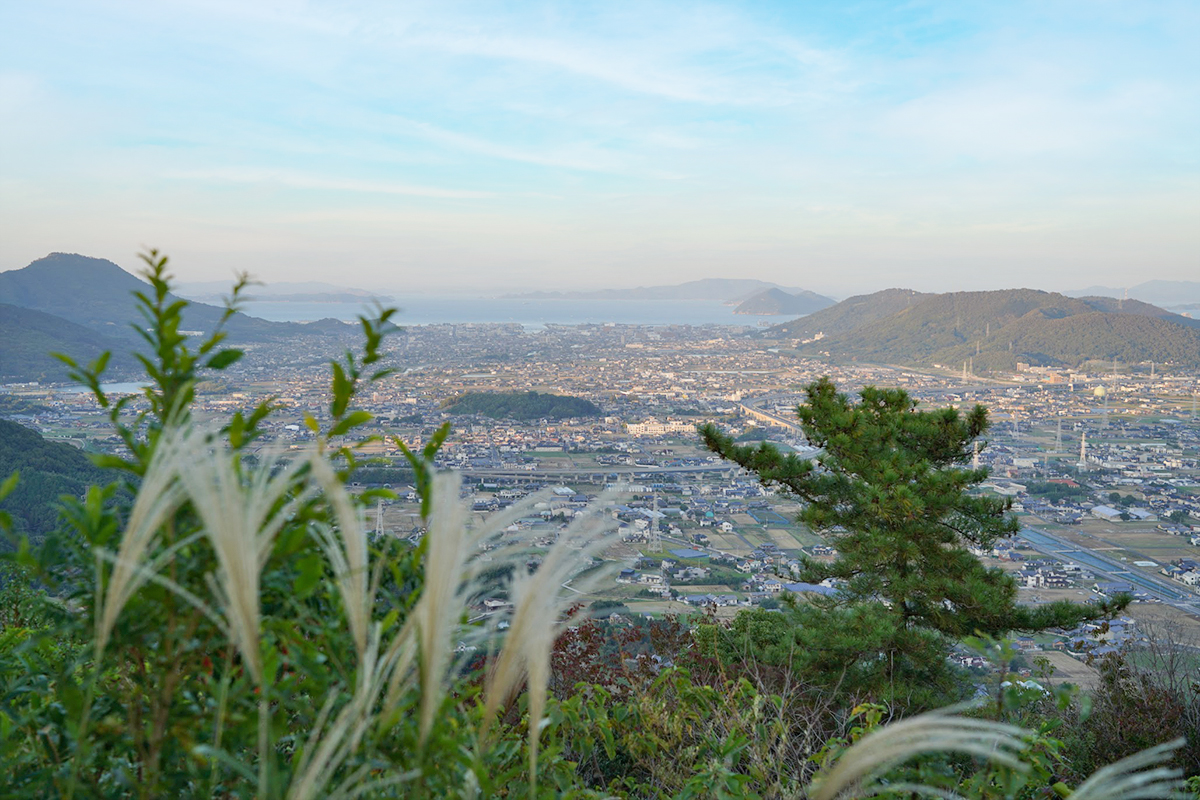 高松市 堂山、六ツ目山登山 : パンとか、わんことか、お山とか、