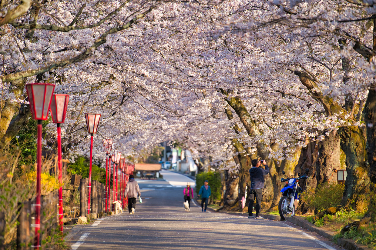 二本松市のおすすめ格安ホテル・旅館20選｜安いのに人気の宿もご紹介 - おすすめ旅行を探すならトラベルブック(TravelBook)