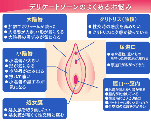 女性器の秘密」「10分でわかる女性器の秘密」「200人の女のクリトリス 絶頂体験」「女性器200大解剖図鑑」4冊一括｜Yahoo!フリマ（旧PayPayフリマ）