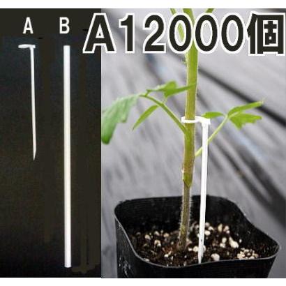 2024年裏情報】水戸のたちんぼは全滅！？その真偽を実際にスポットを巡って調べてみた！ | midnight-angel[ミッドナイトエンジェル]