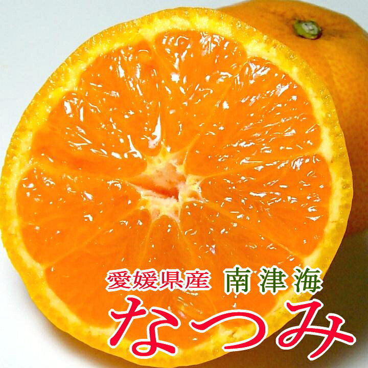 先行予約＞初夏のみかん なつみ約5kg 株式会社