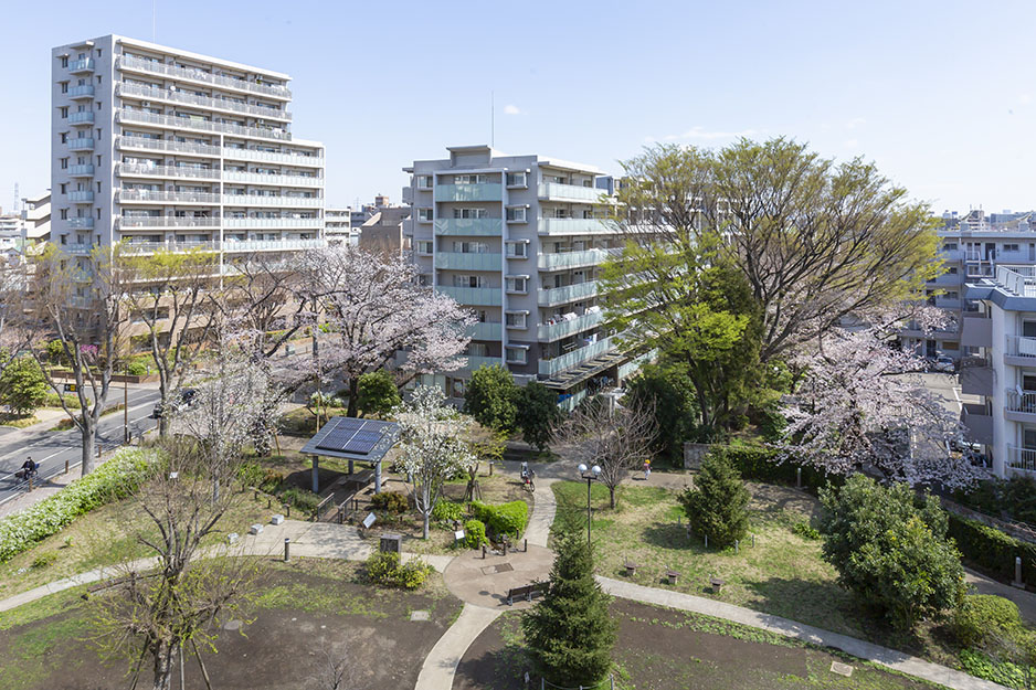 関東バス荻54 芦花公園駅-荻窪駅。環八の渋滞をすり抜けて京王線と中央線を結ぶ。 |