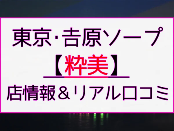 2024年最新】吉原のNN・NS確実ソープ12選！徹底調査ランキング - 風俗マスターズ