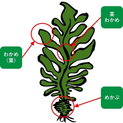 同居BL】 同人誌、地道に原稿中です イメプなので遼輔はメガネをかけています