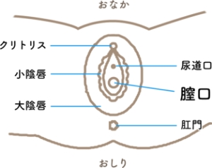 副皮 クリトリス包茎 | 美容外科はベリンダクリニック【新宿院・岡山院】