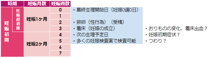 初エッチはタイミングはいつ？付き合い始めて初セックスまでの期間【ラブコスメ】