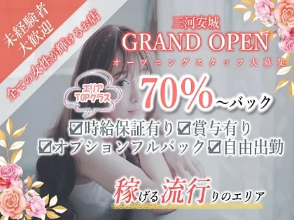 豊田の風俗求人【バニラ】で高収入バイト