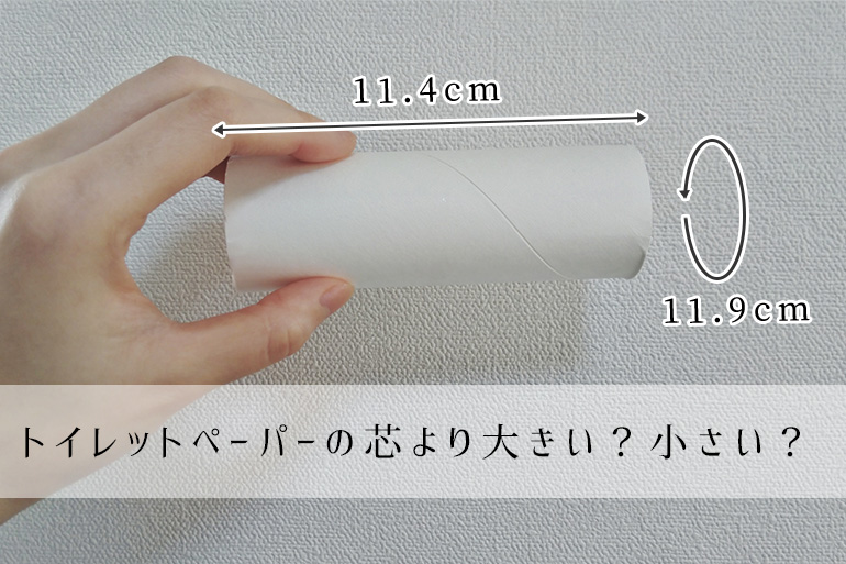 【ペニス図鑑】正しい測り方と硬さ・種類・長さ！