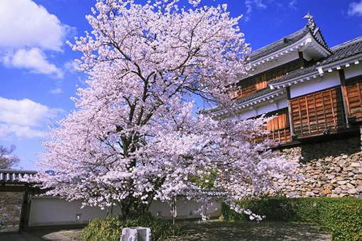 大阪府東大阪市の旅館・ホテル - 旅館・ホテル・ビジネスホテルの予約はイオンコンパストラベルモール