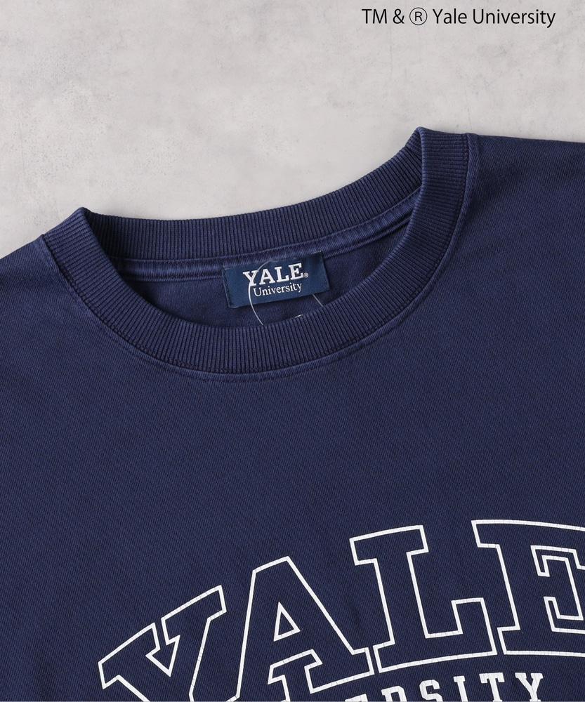 【THE IVY LEAGUE】カレッジロゴTシャツ(M　ネイビー): トップス｜Right-on公式オンラインショップ