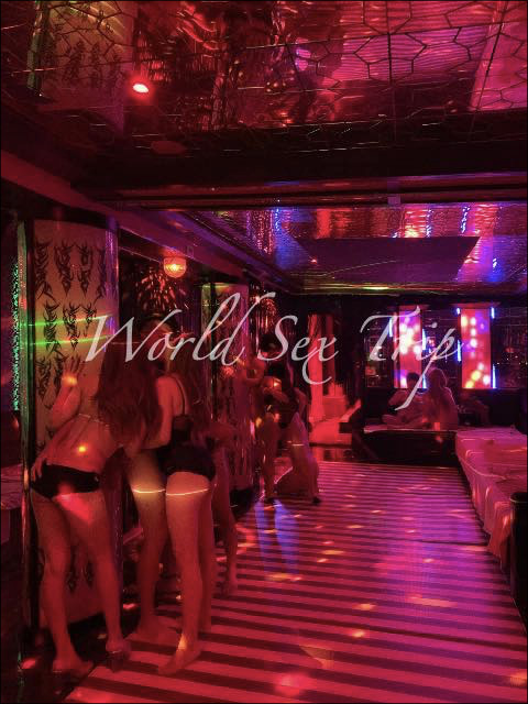 世界の女が僕を待っている ＷＯＲＬＤ　ＳＥＸ　ＴＲＩＰ　jojo 海外風俗