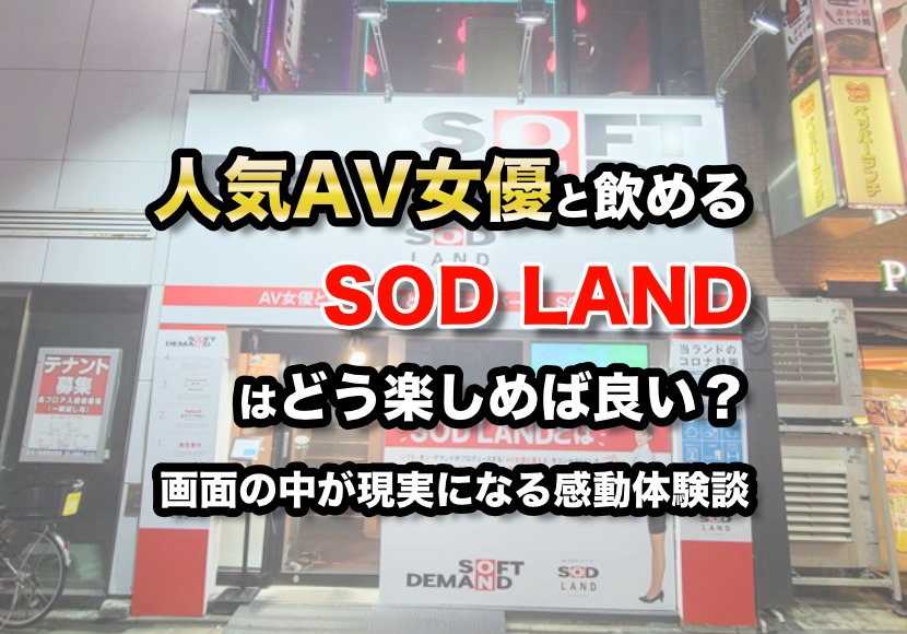 歌舞伎町を救うのはSODだ！ “大人のテーマパーク”「SOD LAND」を偵察してきました（1/2 ページ） -